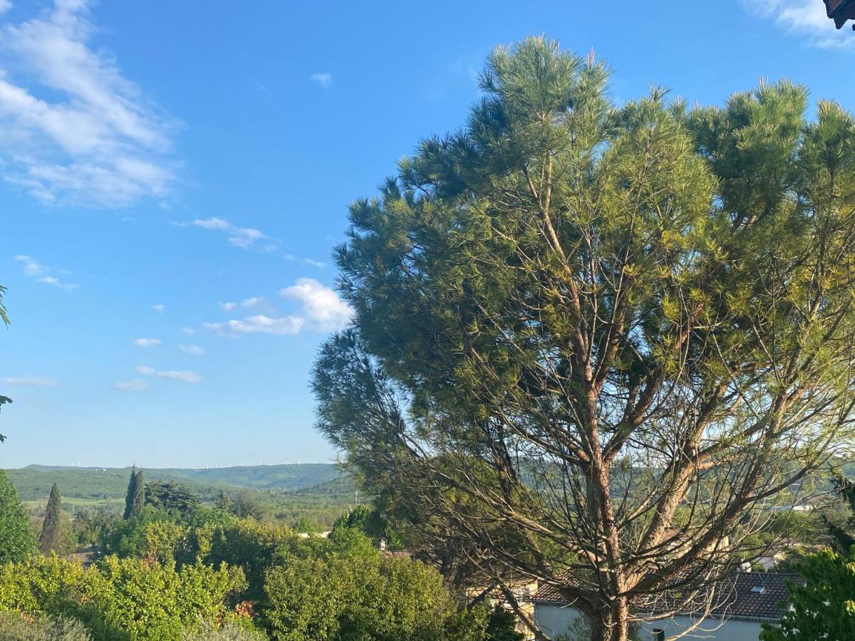 Bel Appartement Calme Dans Villa Provencale Montboucher-sur-Jabron Exterior foto